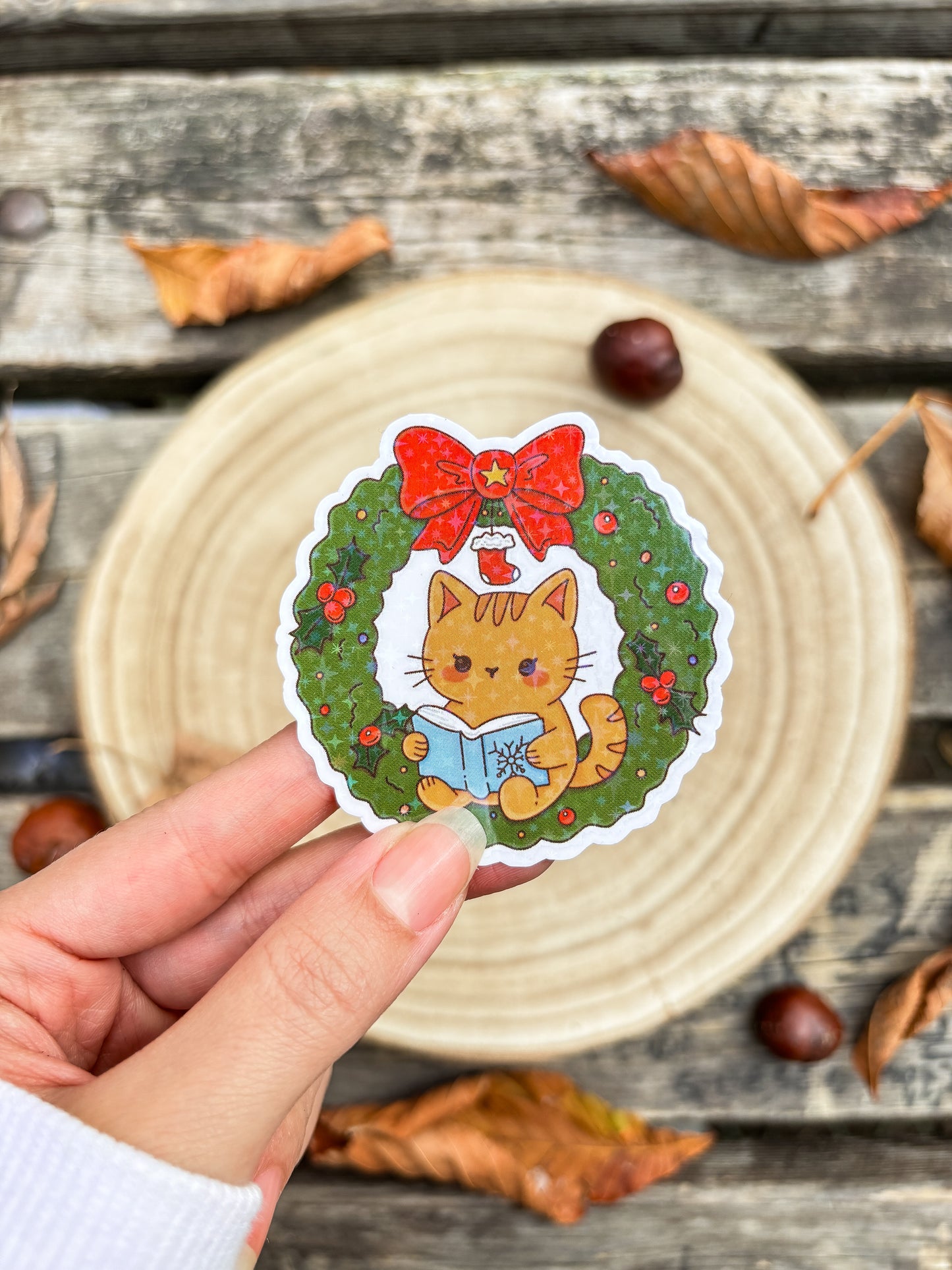 Cute bookish cat vinyl Sticker Christmas kindle sticker