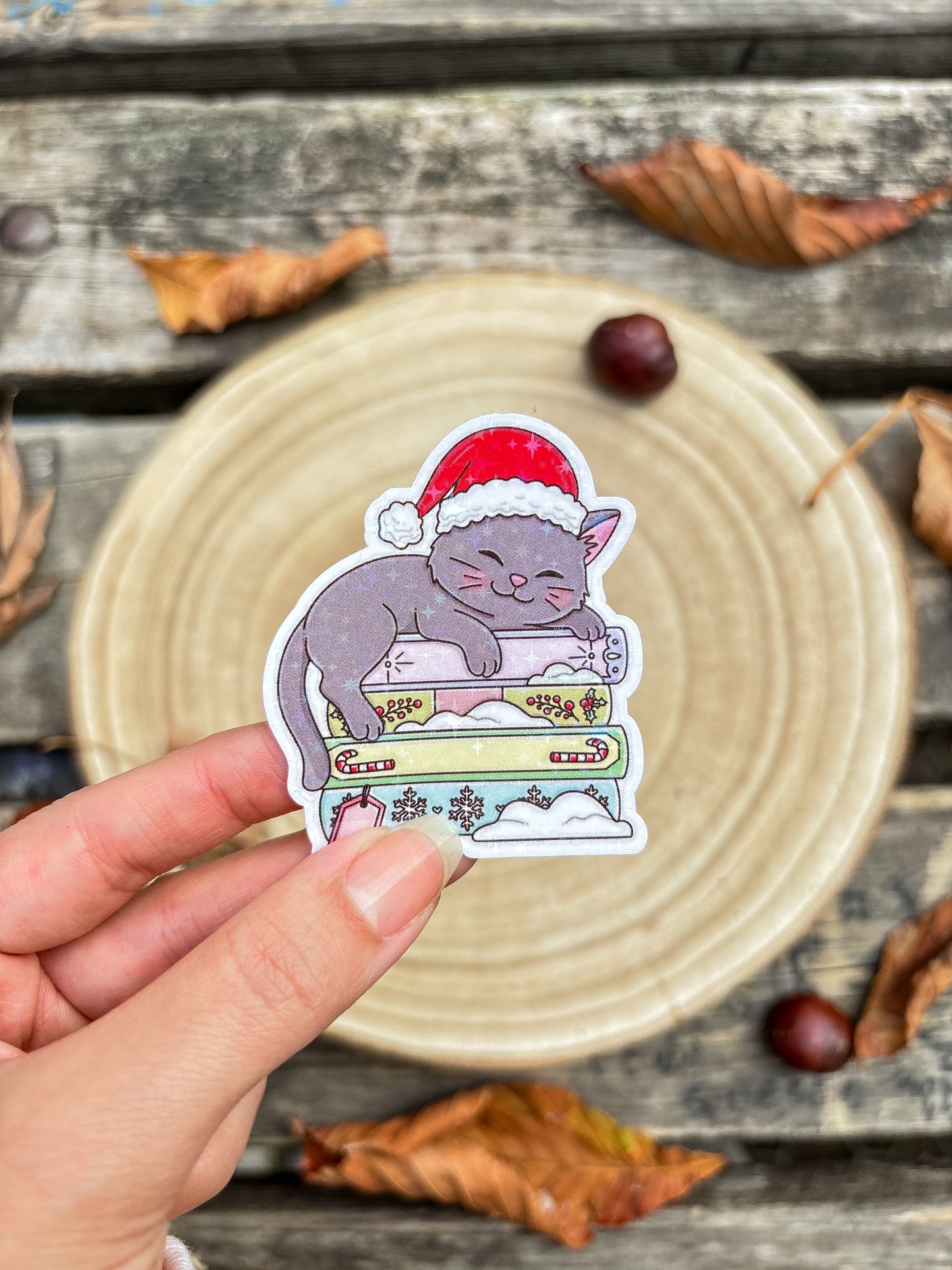 Cute bookish cat Vinyl Sticker Christmas kindle sticker